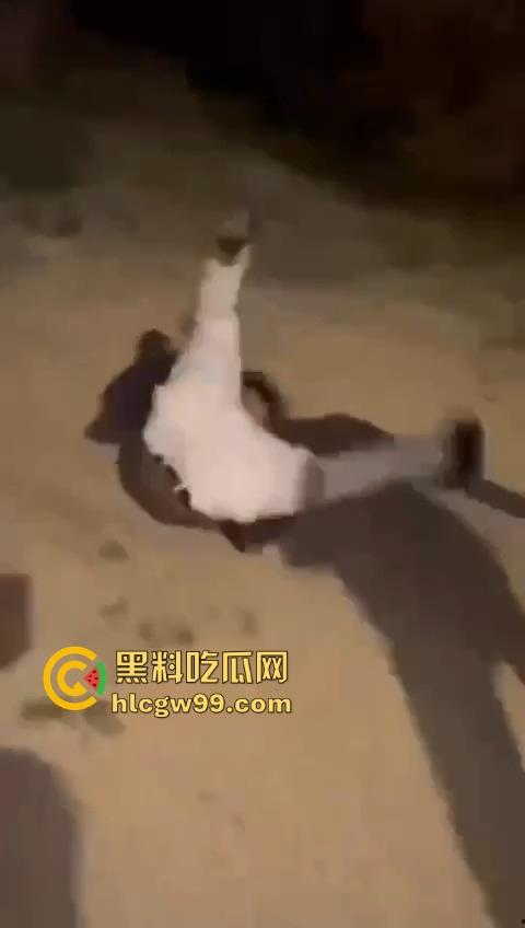 河南精神小伙线上嘴硬嚣张跋扈,线下衣服被脱光吊打,飞踢猛踹,互联网嘴炮被打得嗷嗷叫不敢还手! 第8张 河南精神小伙线上嘴硬嚣张跋扈,线下衣服被脱光吊打,飞踢猛踹,互联网嘴炮被打得嗷嗷叫不敢还手! 第8张