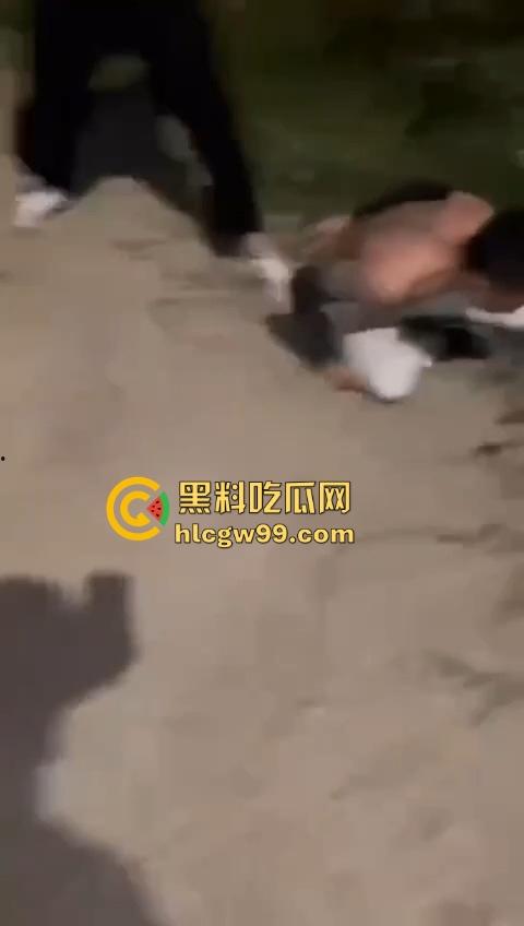 河南精神小伙线上嘴硬嚣张跋扈,线下衣服被脱光吊打,飞踢猛踹,互联网嘴炮被打得嗷嗷叫不敢还手! 第13张 河南精神小伙线上嘴硬嚣张跋扈,线下衣服被脱光吊打,飞踢猛踹,互联网嘴炮被打得嗷嗷叫不敢还手! 第13张