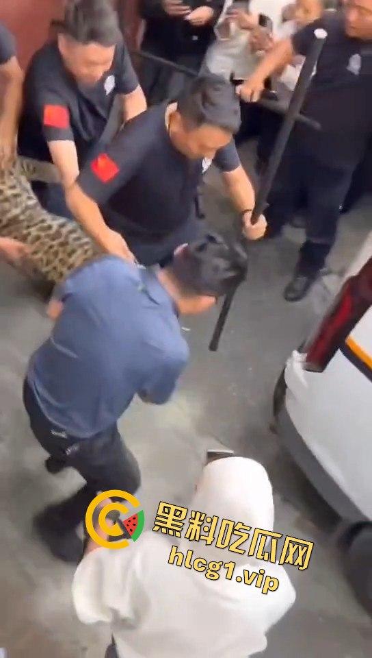 甘孜白玉县城惊现贵宾！金钱豹进城，周围居民直接呆住！  第1张