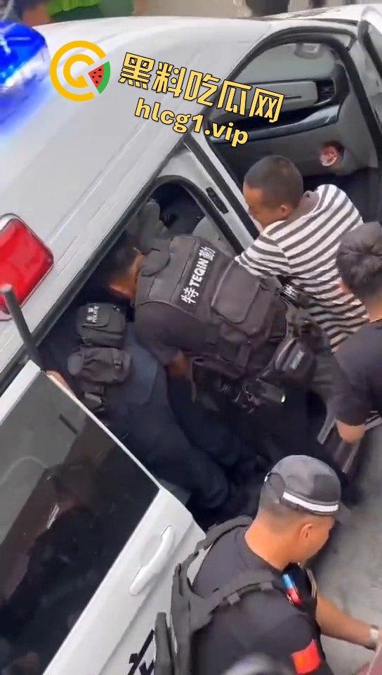 甘孜白玉县城惊现贵宾！金钱豹进城，周围居民直接呆住！  第5张