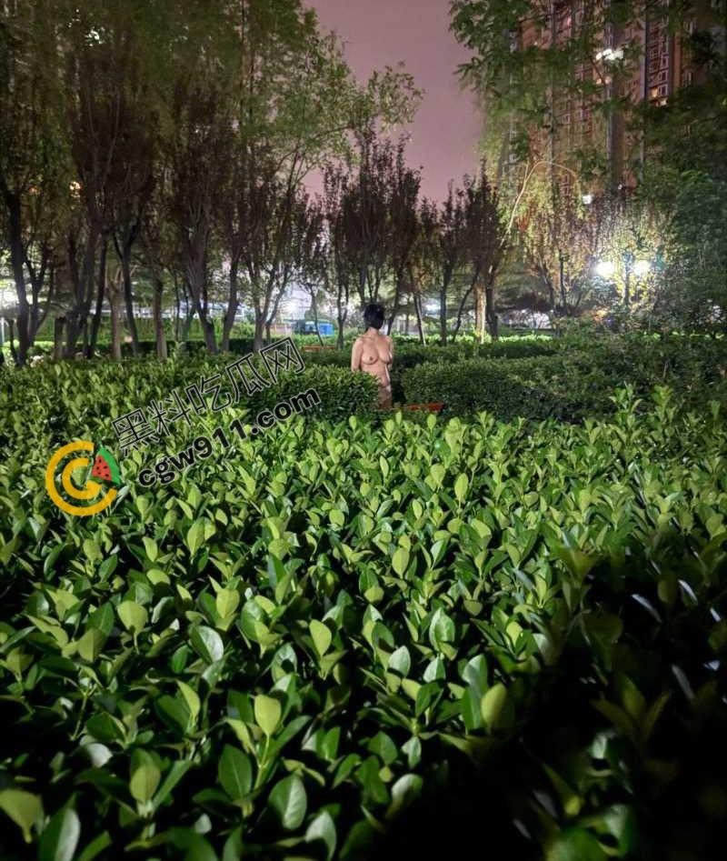 上海交通大学眼镜妹【胡丽敏】户外各种极限露出,翘臀巨乳 粉嫩肥穴被爆操,淫水狂流不止 第9张 上海交通大学眼镜妹【胡丽敏】户外各种极限露出,翘臀巨乳 粉嫩肥穴被爆操,淫水狂流不止 第9张