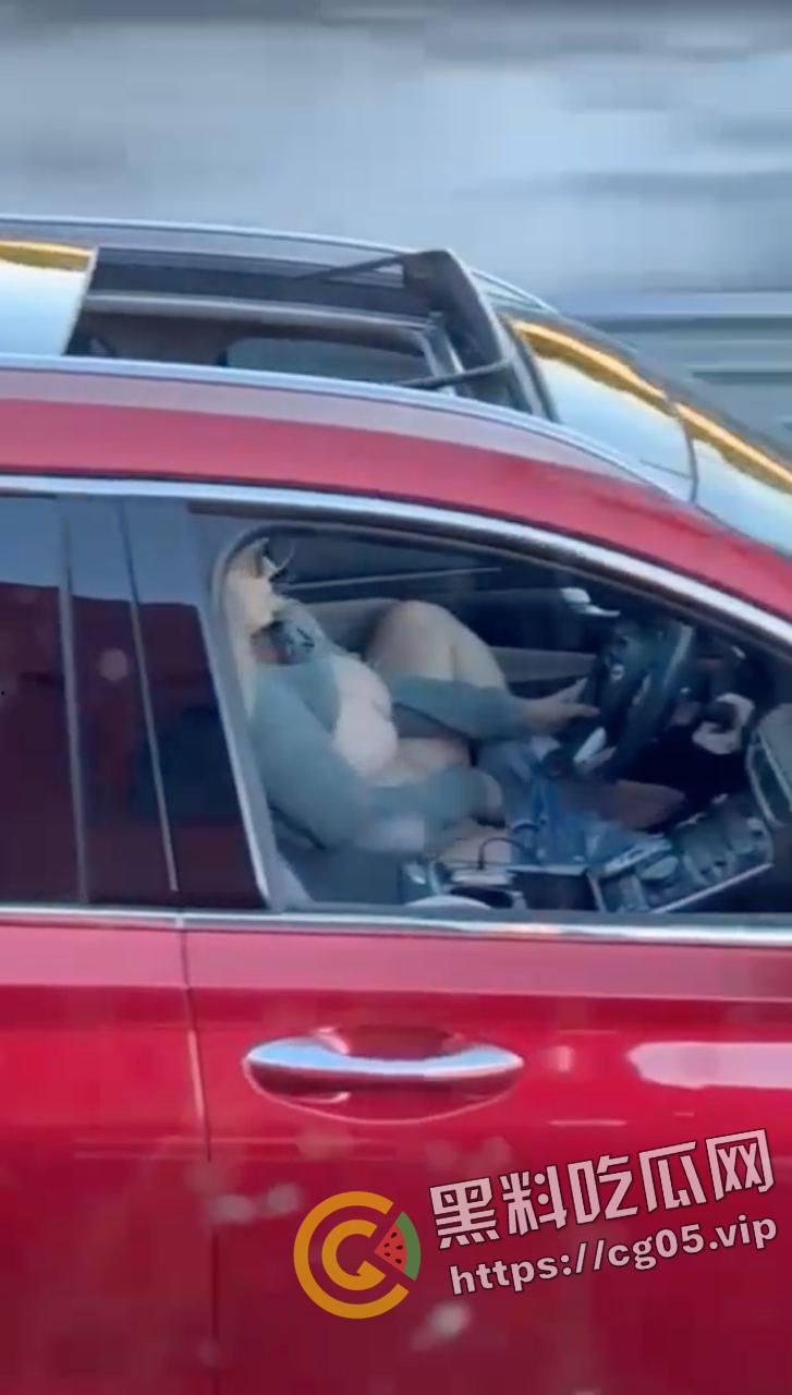 速度与激情！高速上边开车边自慰 不愧是女司机 玩的就是狠活  第3张