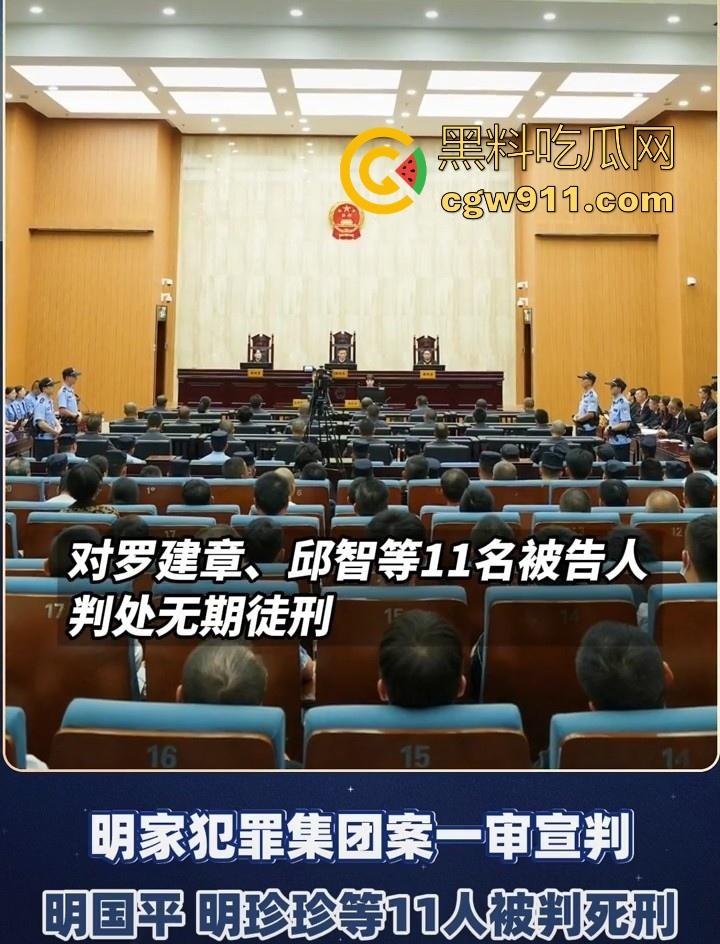 缅甸四大家族之一明家终于判刑了，5人判处死刑11人判无期12人二十四年至五年不等，对这种人渣应该全部死刑！  第3张