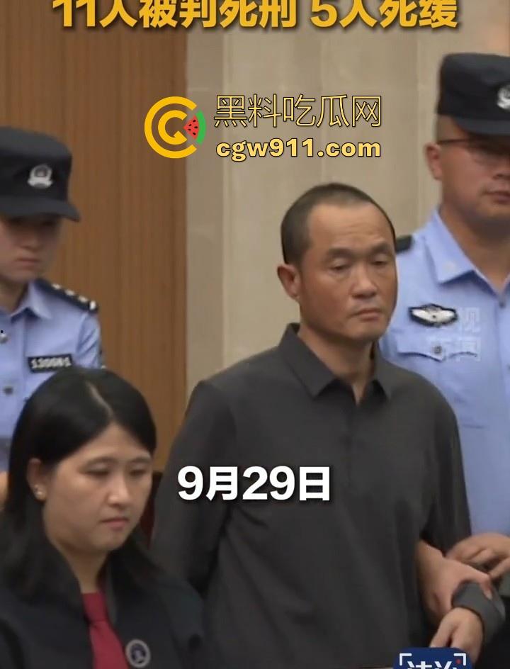 缅甸四大家族之一明家终于判刑了，5人判处死刑11人判无期12人二十四年至五年不等，对这种人渣应该全部死刑！  第5张
