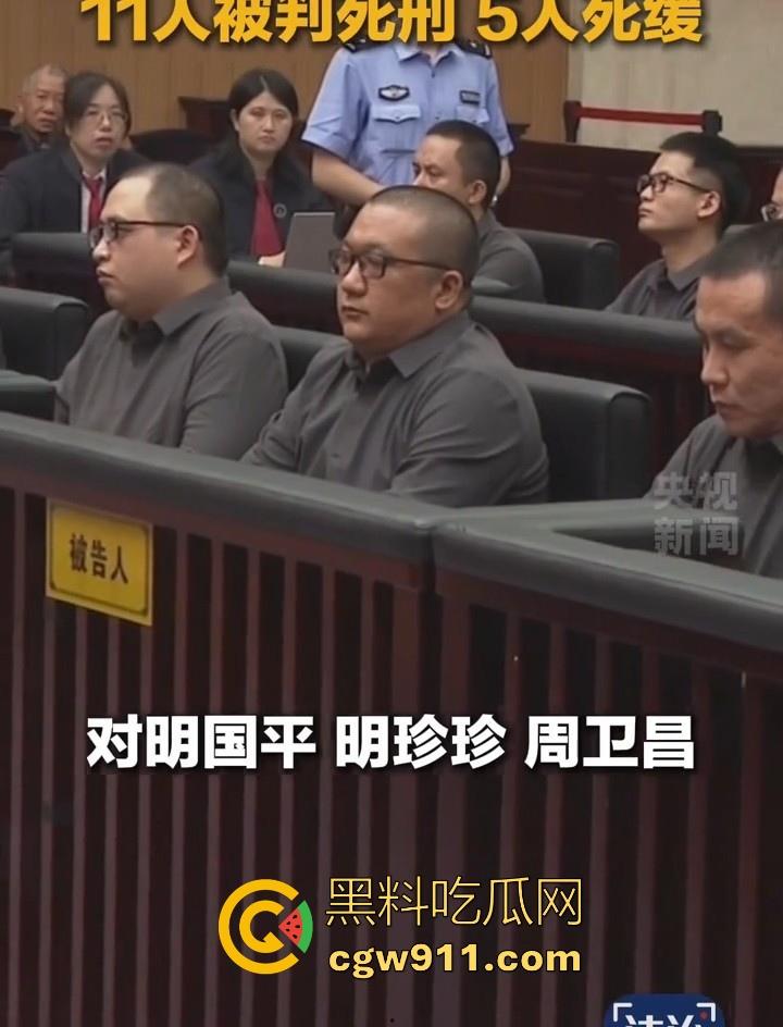 缅甸四大家族之一明家终于判刑了，5人判处死刑11人判无期12人二十四年至五年不等，对这种人渣应该全部死刑！  第7张