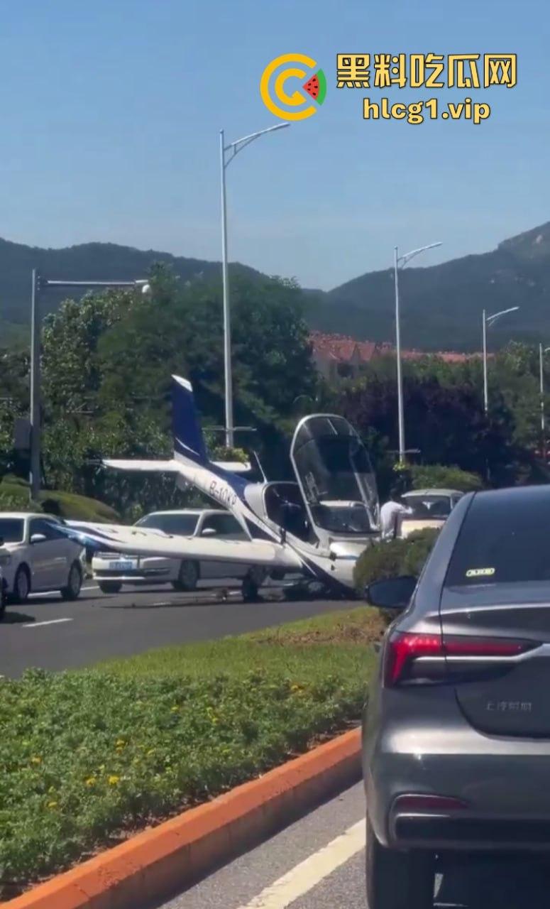 感谢大哥送来的飞机！辽宁大连一飞机失控掉落在公路上  第2张