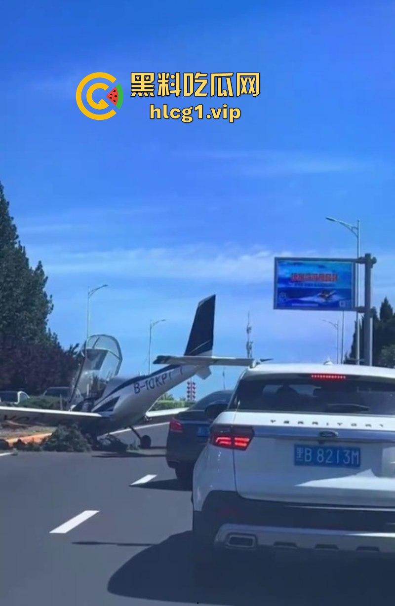 感谢大哥送来的飞机！辽宁大连一飞机失控掉落在公路上  第6张