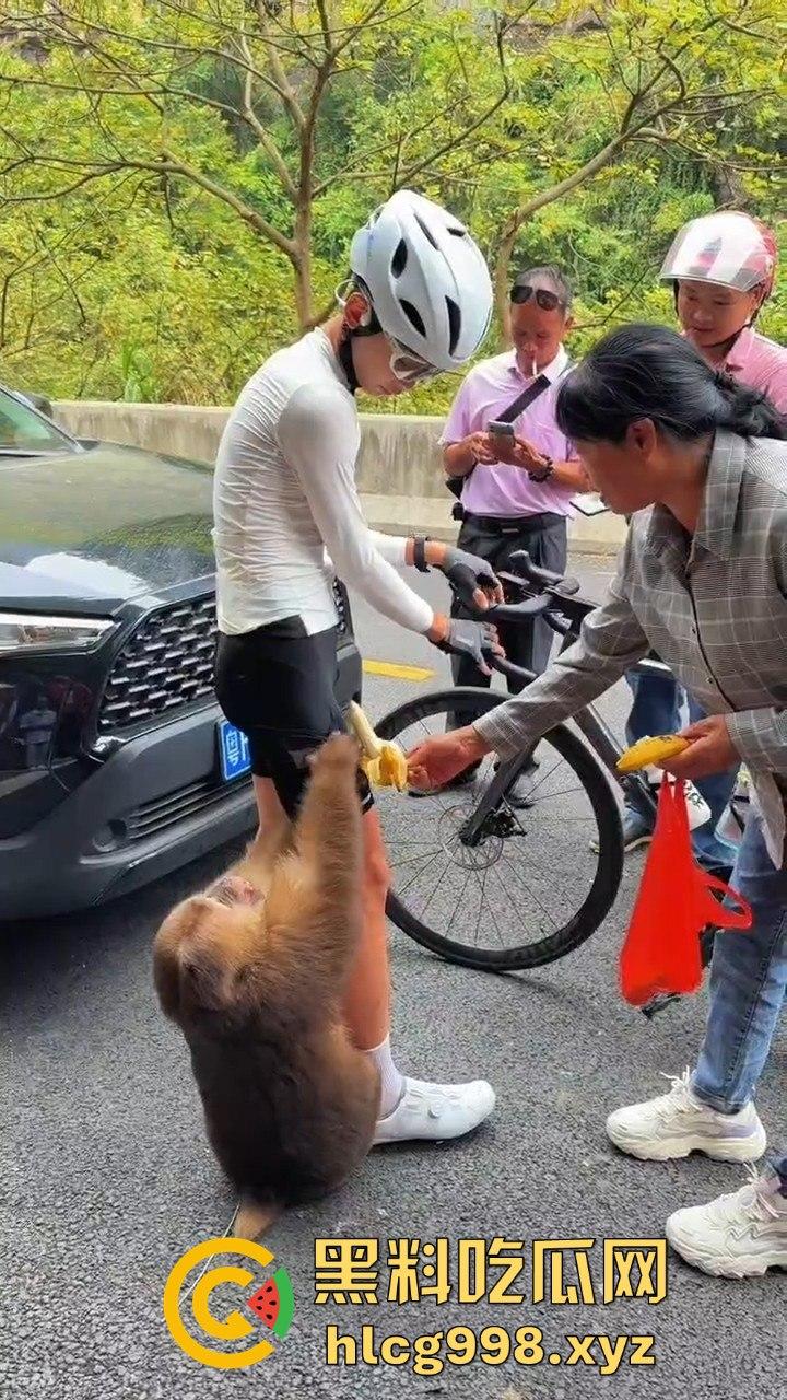 奇葩猴子不吃香蕉专爱美女！见到女的就疯狂抱大腿、抓胸、扯头发！  第4张
