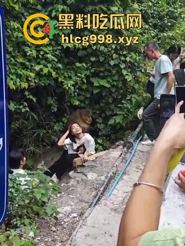 奇葩猴子不吃香蕉专爱美女！见到女的就疯狂抱大腿、抓胸、扯头发！  第10张