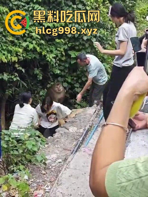 奇葩猴子不吃香蕉专爱美女！见到女的就疯狂抱大腿、抓胸、扯头发！  第11张