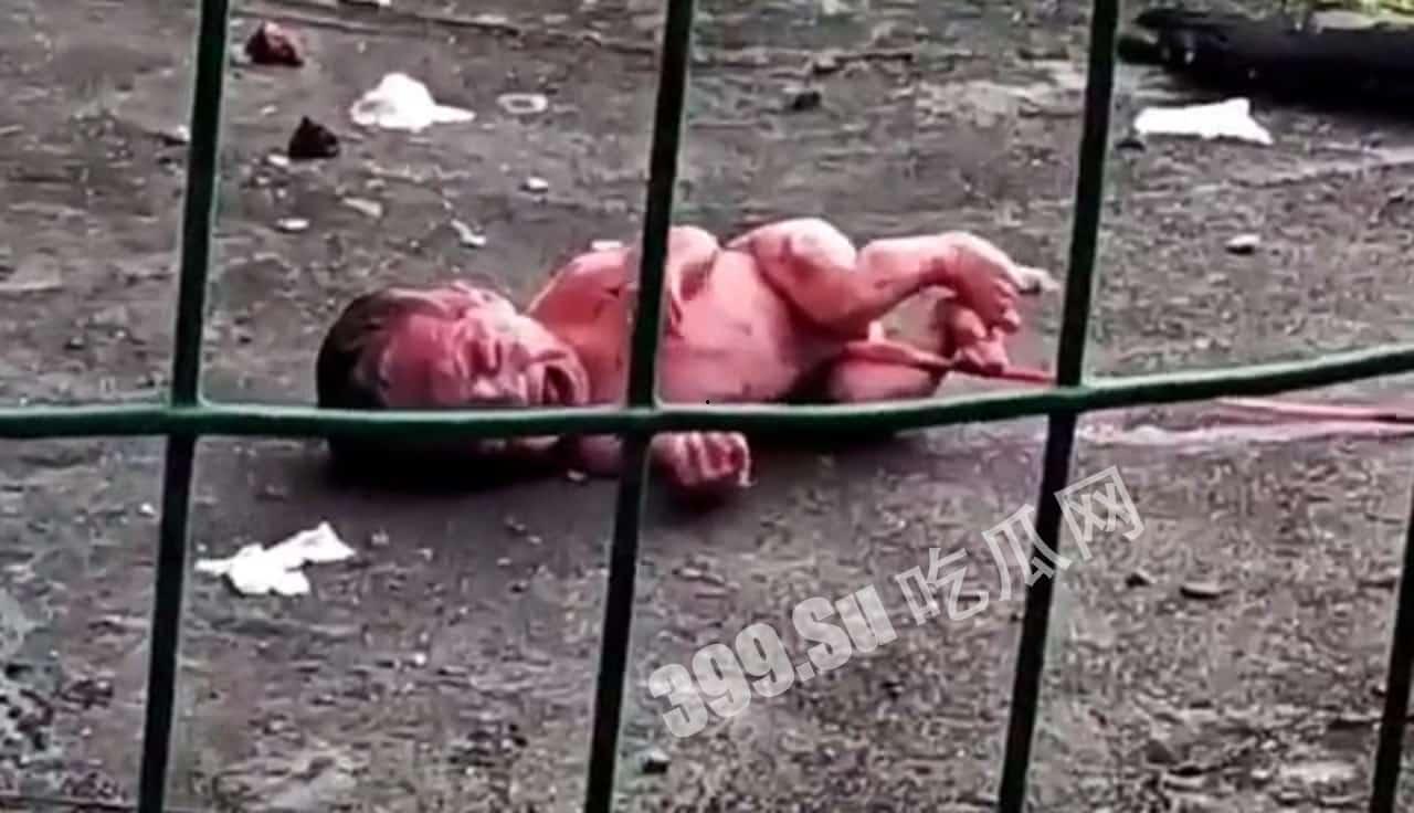 #弃婴 谁家小孩？脐带还连着就被从楼上扔下 网传#广西工业职业技术学校  第2张