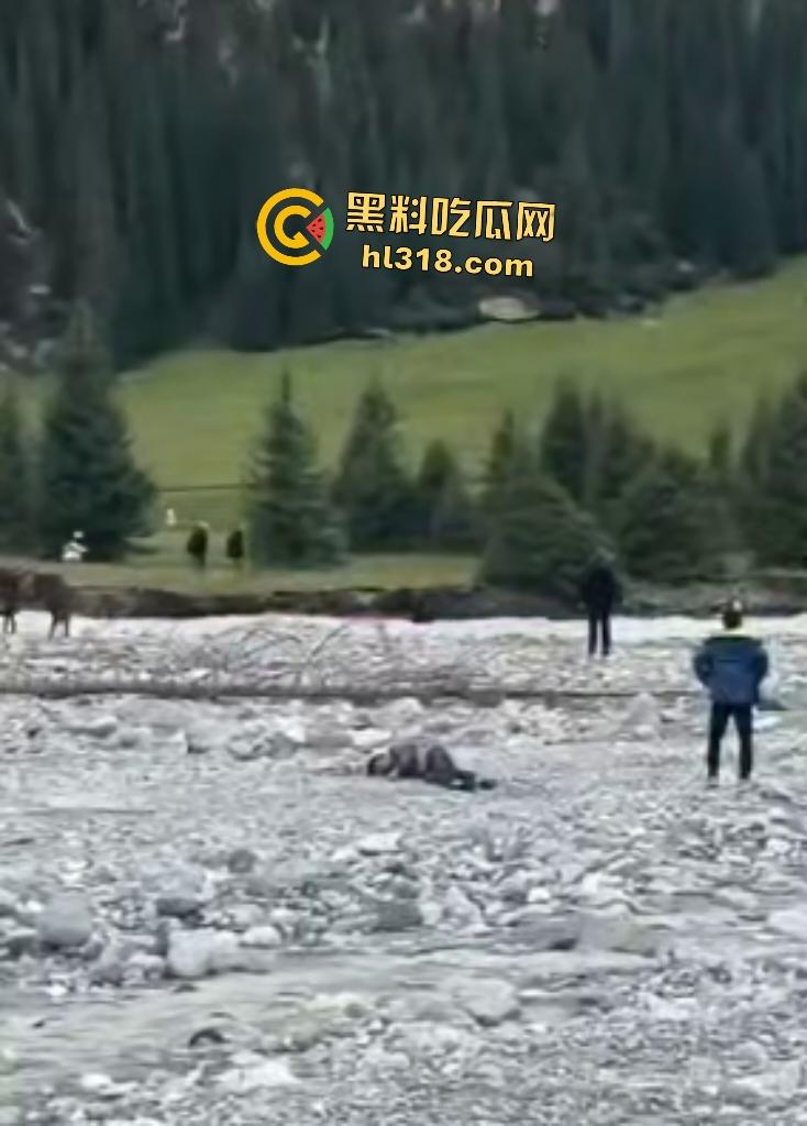 新疆伊犁昭苏县夏塔景区吊桥断裂29人滑落5死22伤，桥虽不高但下面就是激流的河水，直接能摔死！  第6张