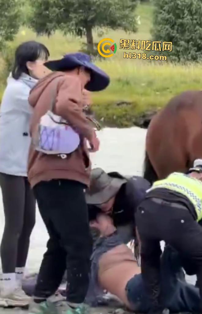 新疆伊犁昭苏县夏塔景区吊桥断裂29人滑落5死22伤，桥虽不高但下面就是激流的河水，直接能摔死！  第7张