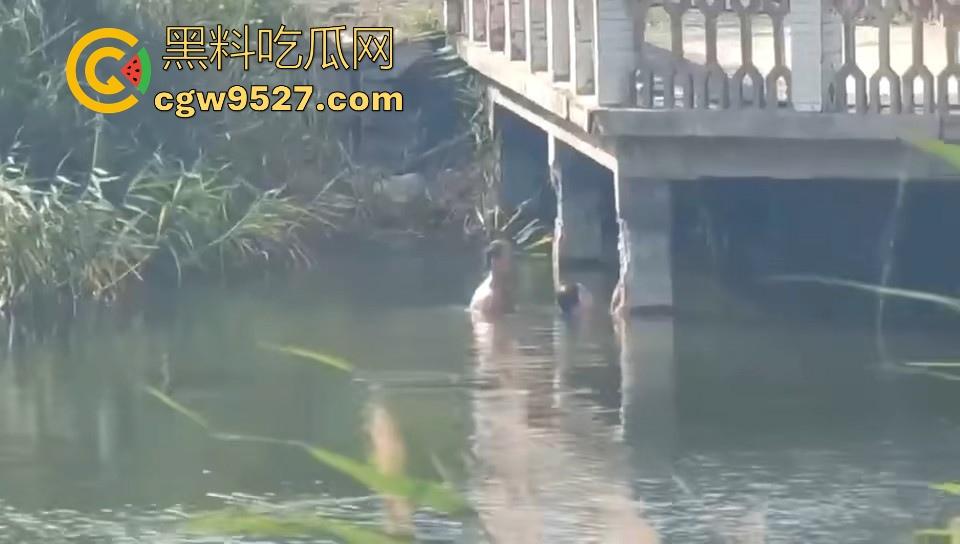 热心男子勇救落水女子，还知道从背后救，挺专业的，摇摇晃晃推到岸边，下次这种落水女子麻烦让我来救！  第3张