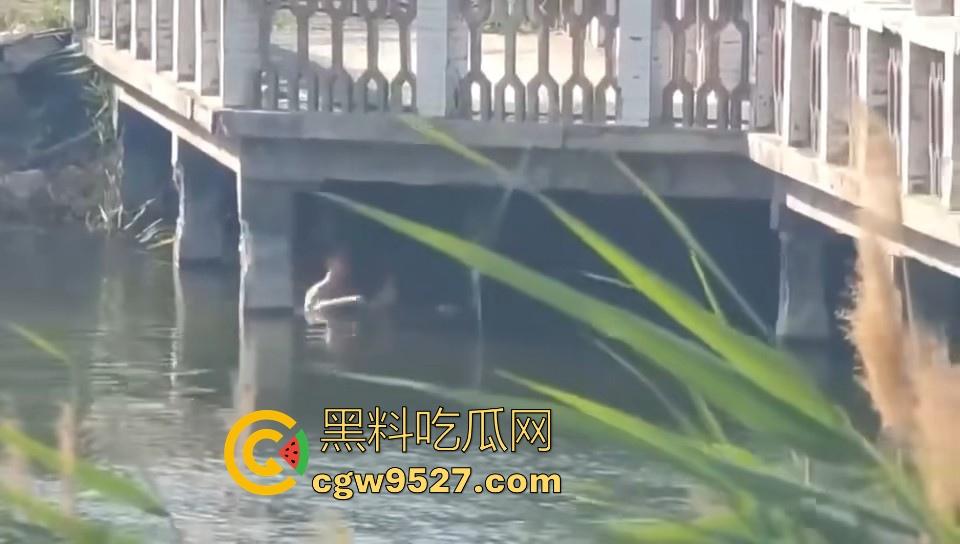 热心男子勇救落水女子，还知道从背后救，挺专业的，摇摇晃晃推到岸边，下次这种落水女子麻烦让我来救！  第7张