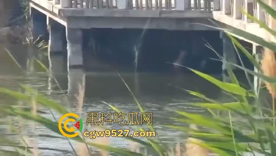 热心男子勇救落水女子，还知道从背后救，挺专业的，摇摇晃晃推到岸边，下次这种落水女子麻烦让我来救！  第9张