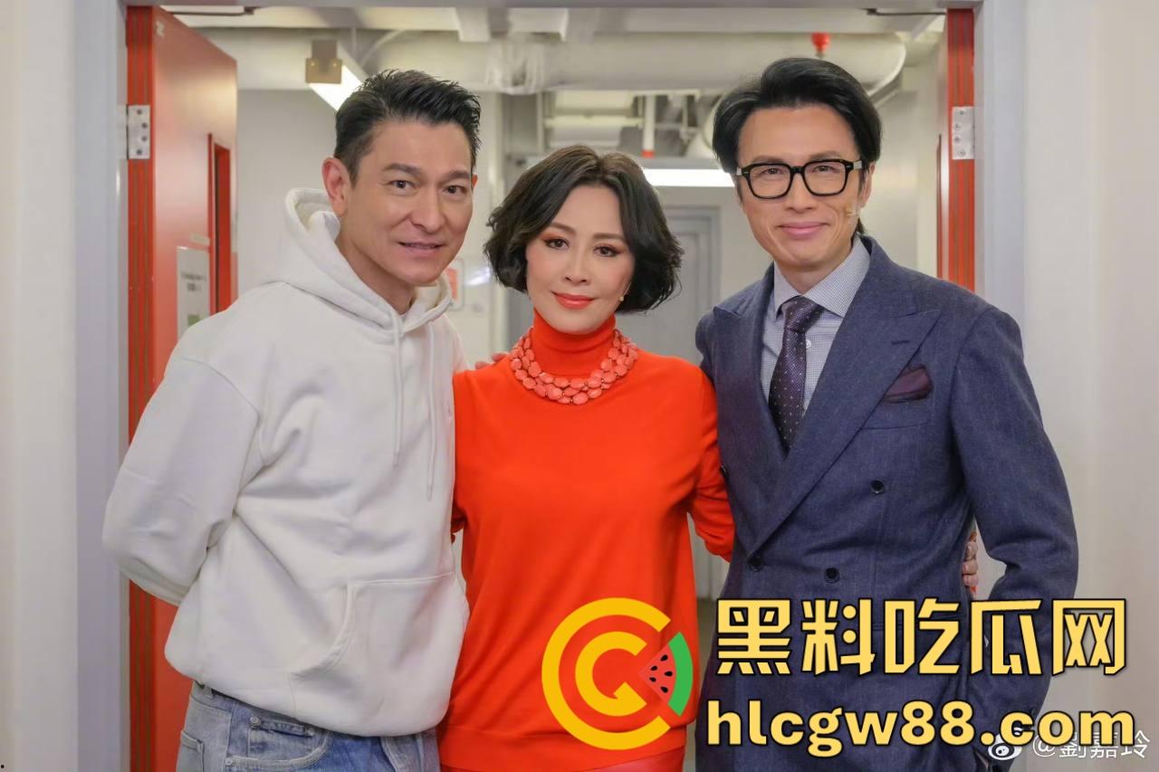 香港女星【刘嘉玲】当年被绑架强奸的视频泄露流出，匪徒无套颜射 虽画质模糊但依稀看得出是本人！  第12张