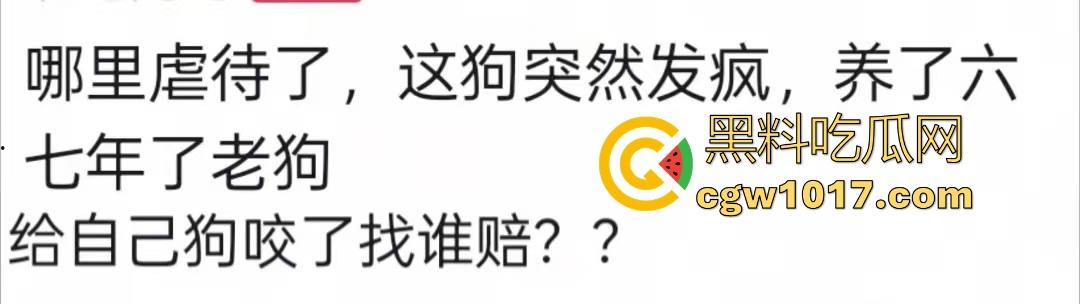 七年老狗反咬主人，不是虐待就突然发疯，满脸都是血，大型狗真恐怖，随后安排处死，这时候爱狗人士怎么不说话了！  第1张