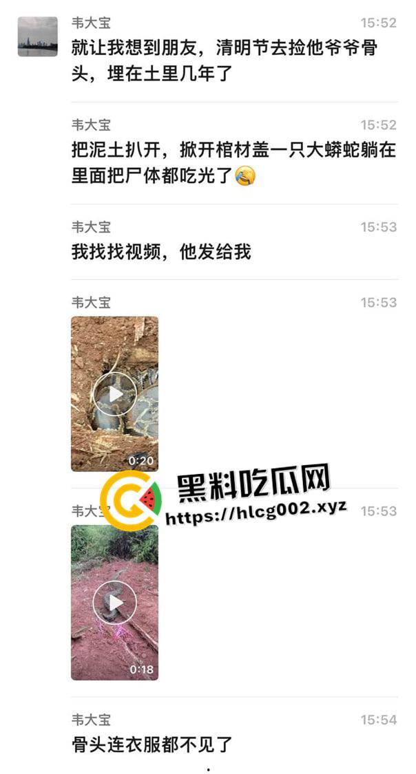 爷爷真被蛇精抓走了！网友清明上坟发现大蟒蛇躺在爷爷棺材 这下真的是蛇精还我爷爷了  第1张