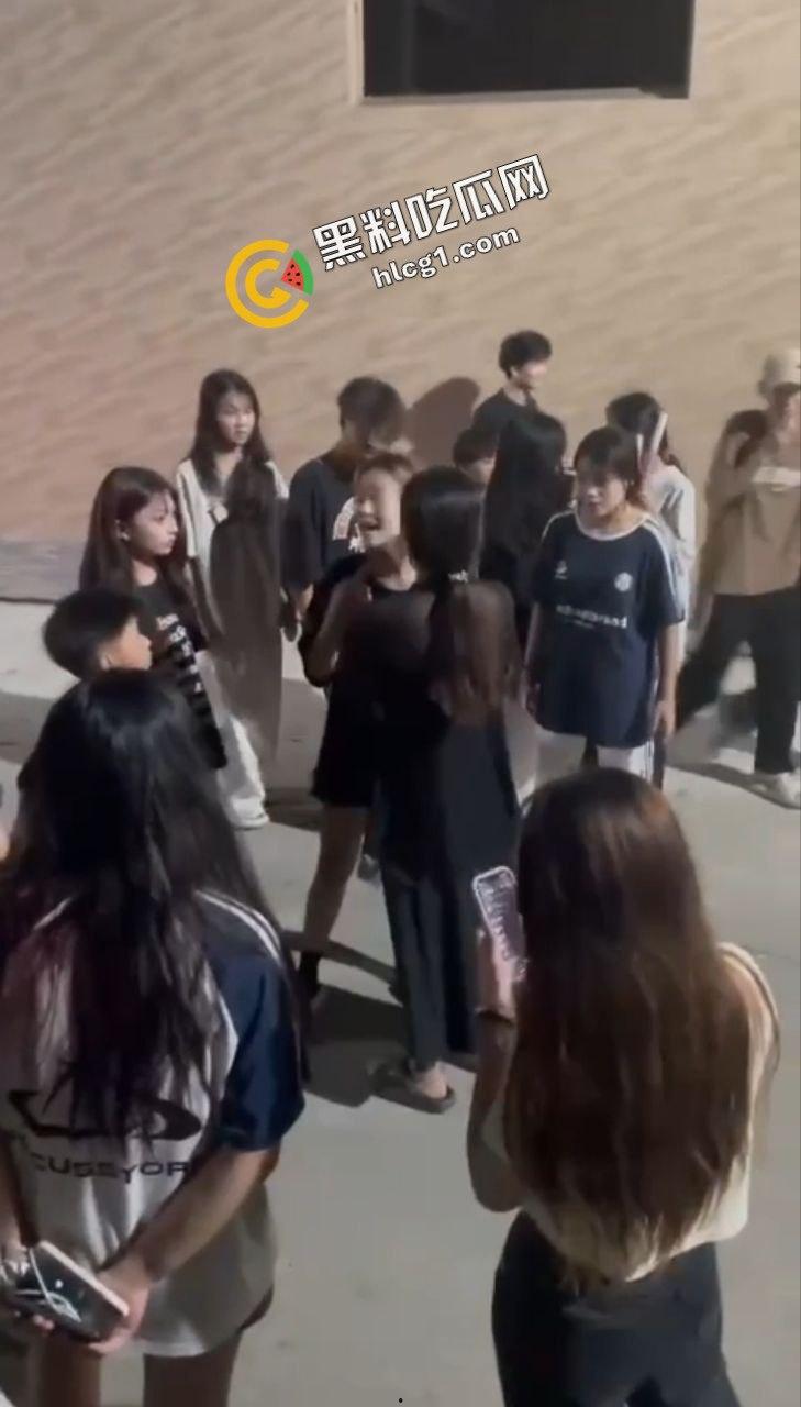 广西一社会村 一群精神小妹霸凌一女孩 拉倒在地上挥拳猛捶  第1张