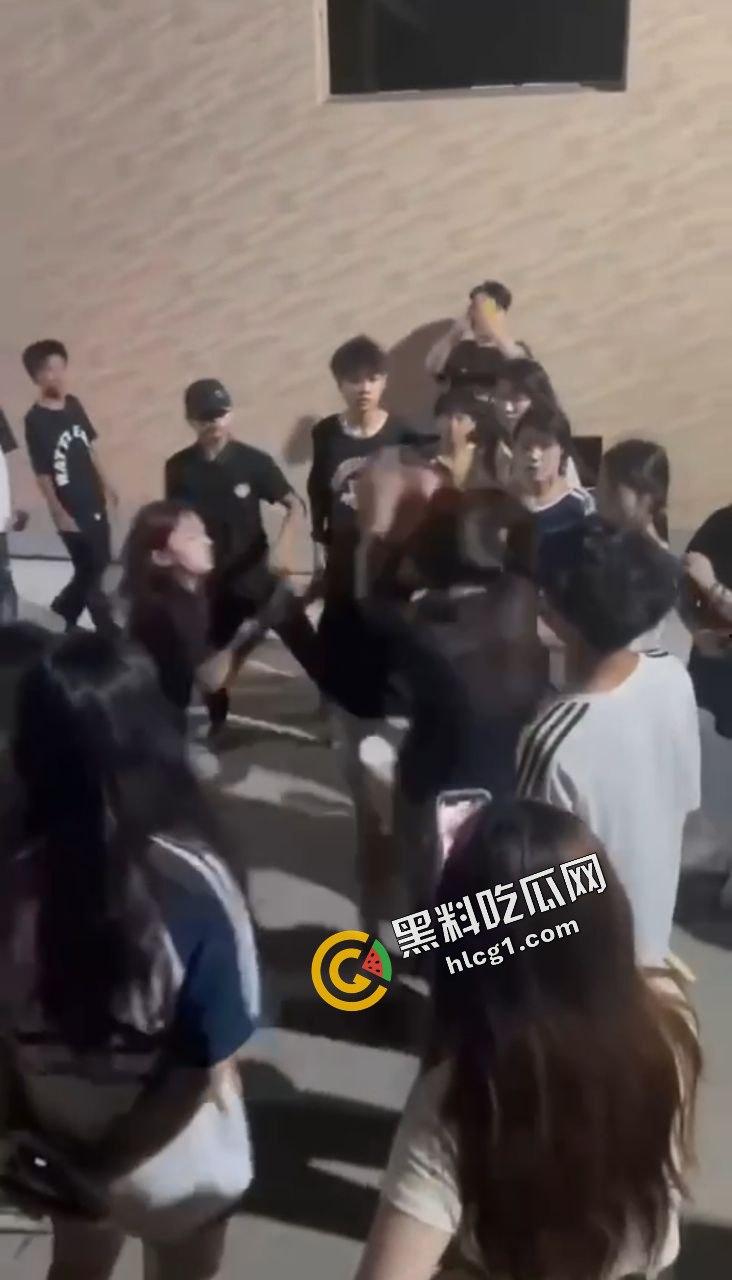 广西一社会村 一群精神小妹霸凌一女孩 拉倒在地上挥拳猛捶  第2张