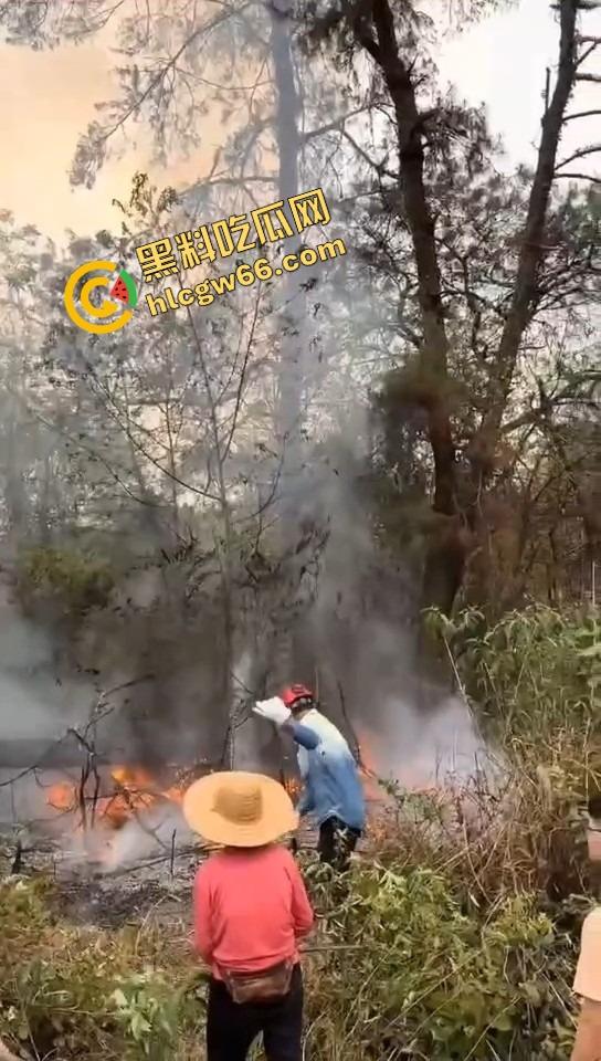 广西老表豪横上坟现场，不是祭祖，是直接给祖坟放高爆特效，十几个十万响鞭炮炸出烈焰战场！  第2张