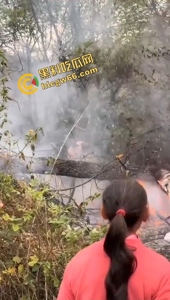 广西老表豪横上坟现场，不是祭祖，是直接给祖坟放高爆特效，十几个十万响鞭炮炸出烈焰战场！  第4张
