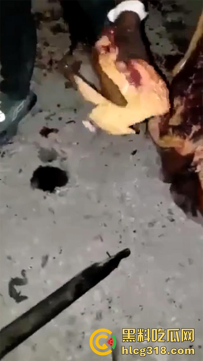 非洲大奶黑妹被砍断双手，棍棒砸扁头杀害后，被一群男子当场分尸割肉，还有人拿棍捅逼，真变态啊！  第6张