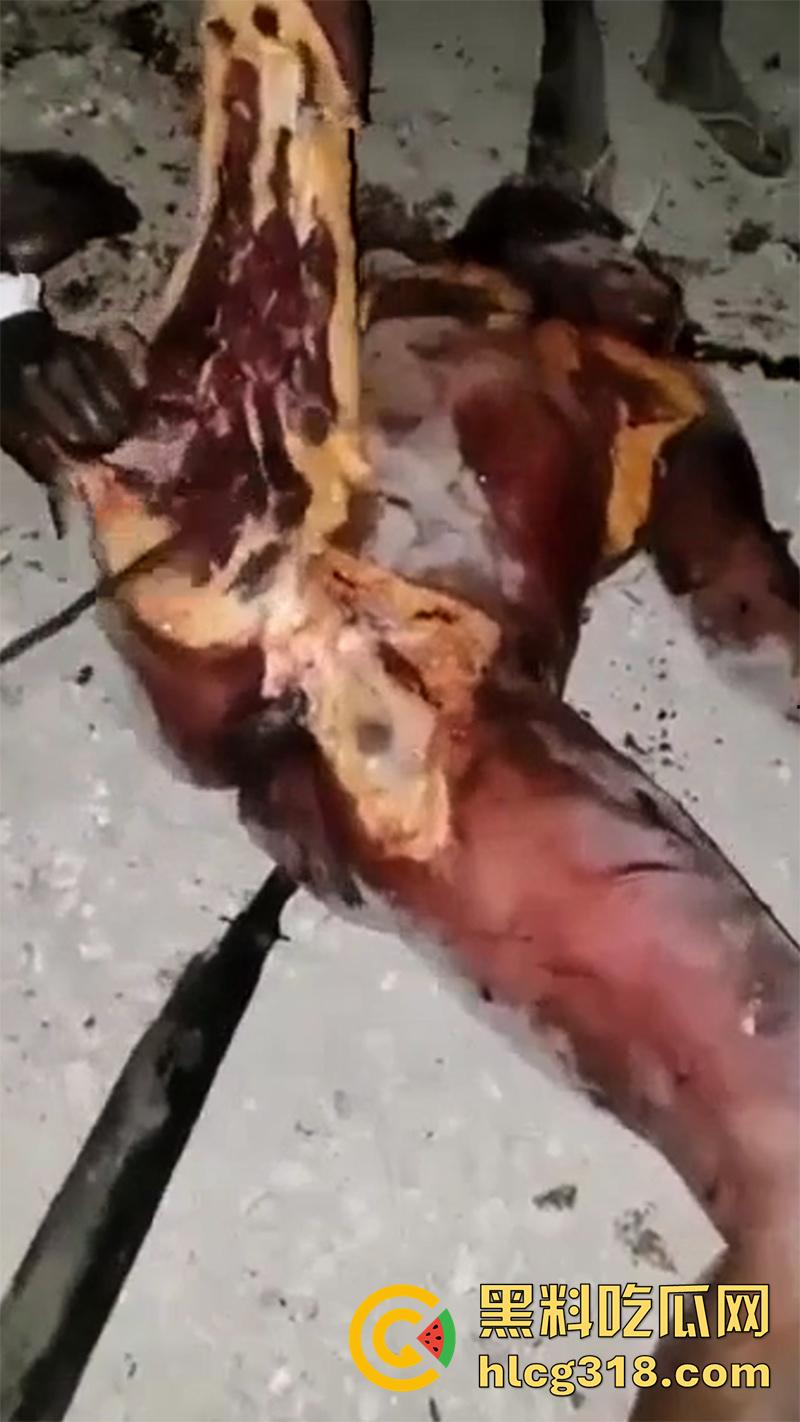 非洲大奶黑妹被砍断双手，棍棒砸扁头杀害后，被一群男子当场分尸割肉，还有人拿棍捅逼，真变态啊！  第7张