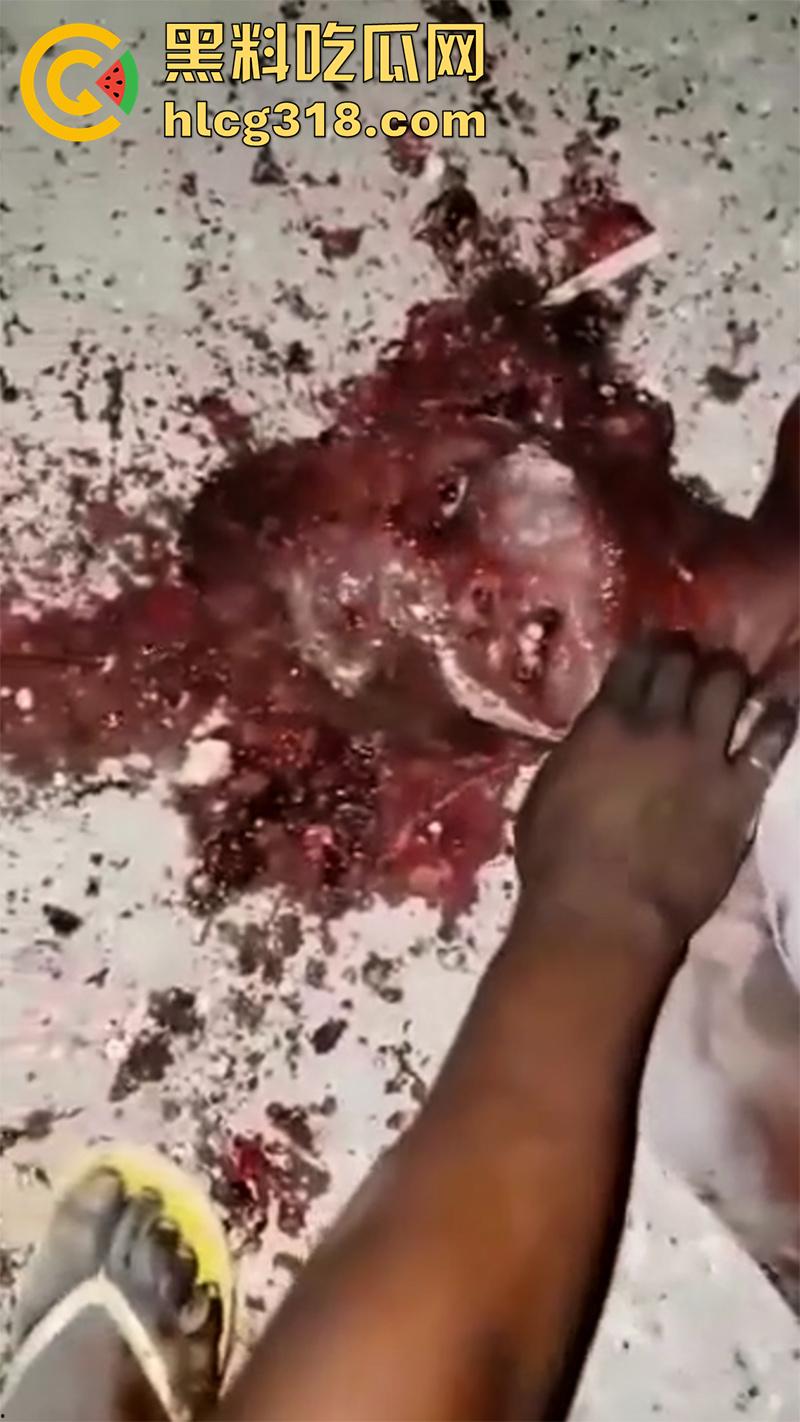 非洲大奶黑妹被砍断双手，棍棒砸扁头杀害后，被一群男子当场分尸割肉，还有人拿棍捅逼，真变态啊！  第8张