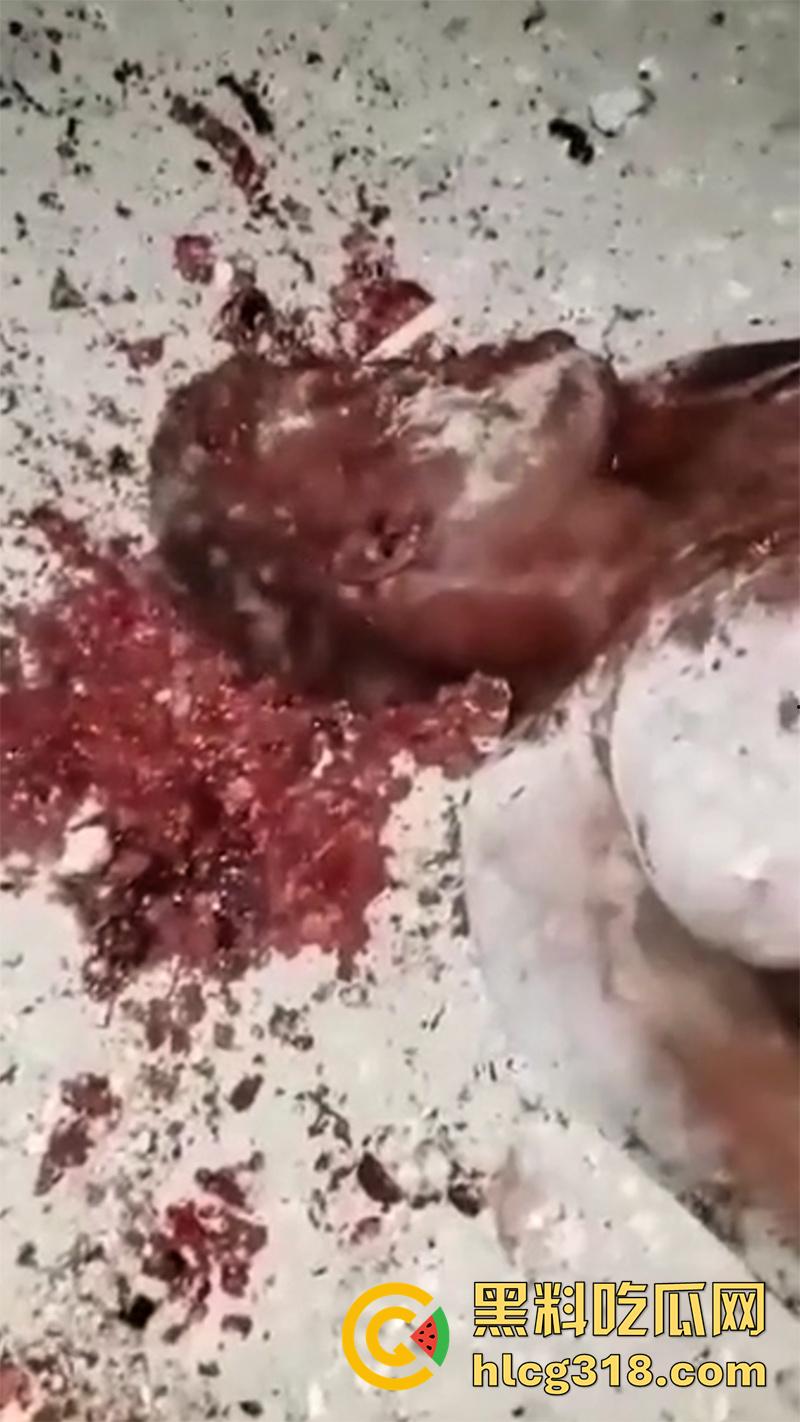 非洲大奶黑妹被砍断双手，棍棒砸扁头杀害后，被一群男子当场分尸割肉，还有人拿棍捅逼，真变态啊！  第9张