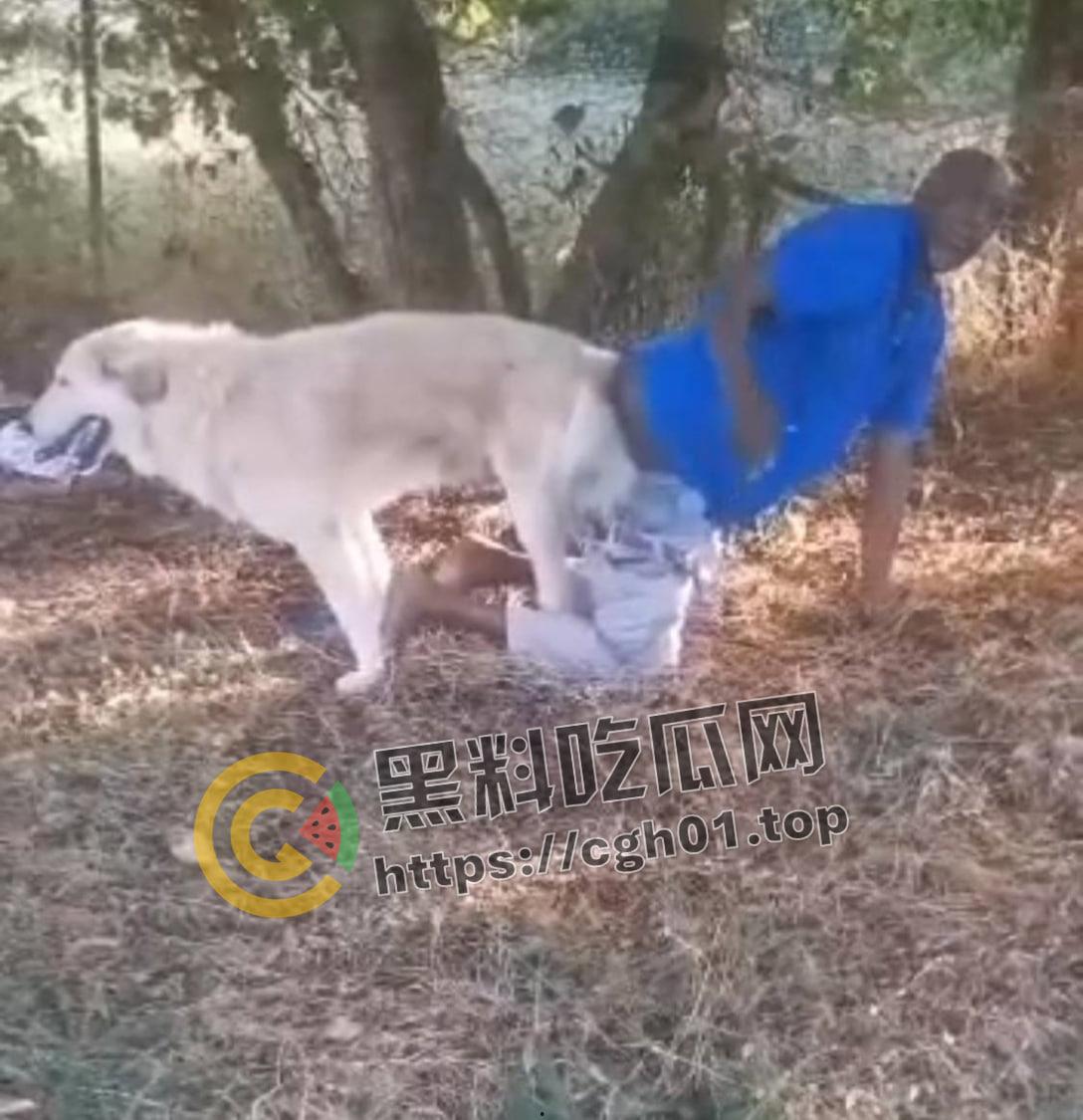 老尼哥被狗草了！这位黑大爷口味属实有点重啊  第1张