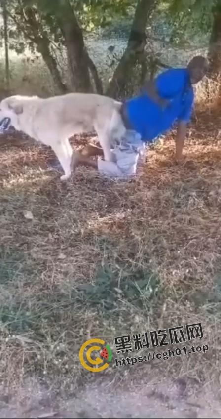 老尼哥被狗草了！这位黑大爷口味属实有点重啊  第3张