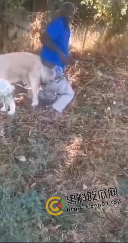 老尼哥被狗草了！这位黑大爷口味属实有点重啊  第4张