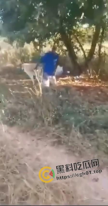 老尼哥被狗草了！这位黑大爷口味属实有点重啊  第5张