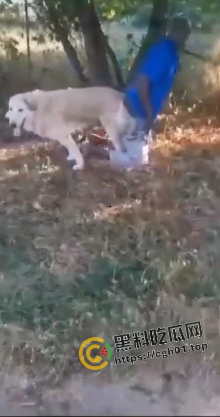 老尼哥被狗草了！这位黑大爷口味属实有点重啊  第6张