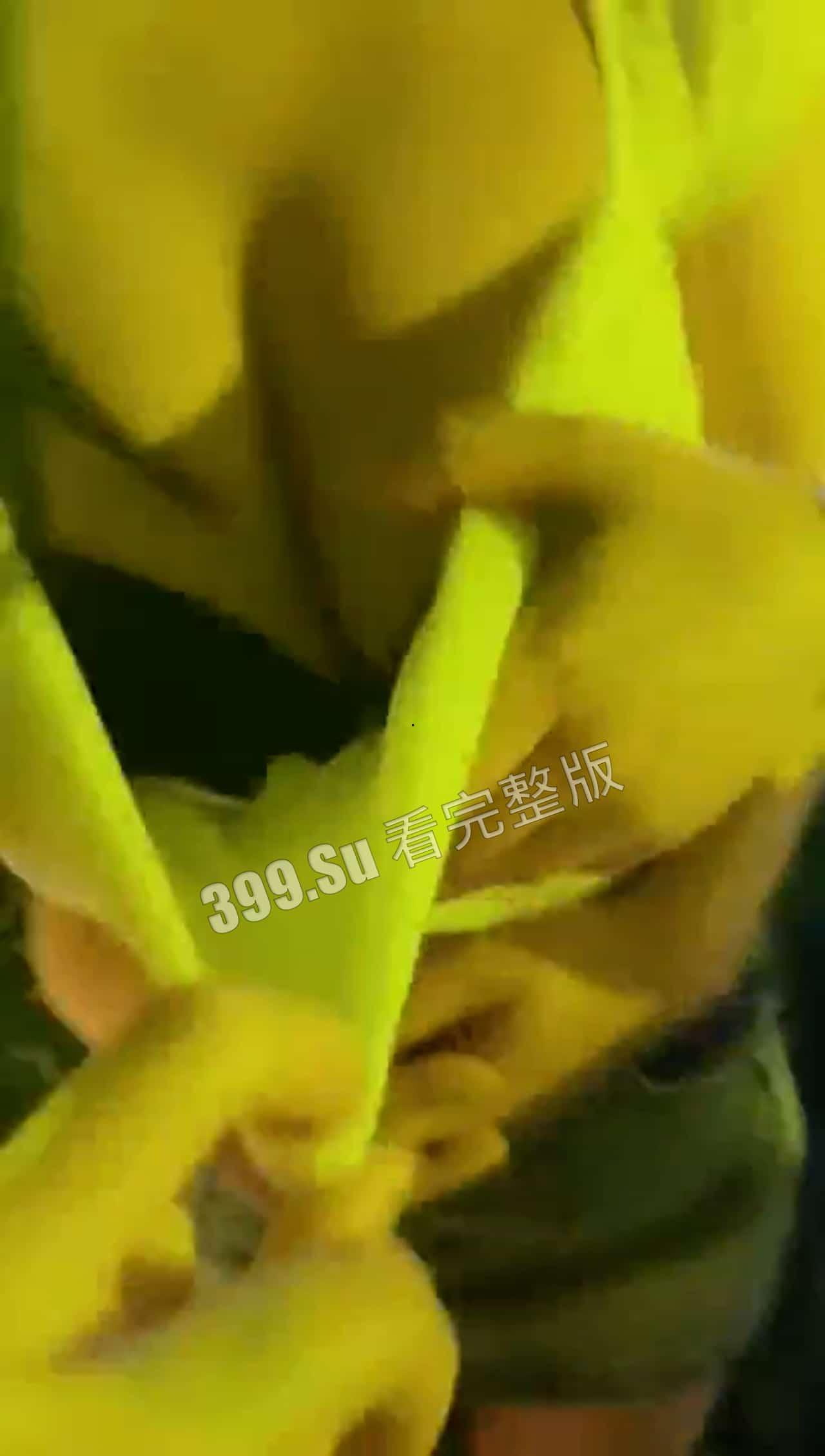 #好女孩合集 以后会被哪个幸运的 #老实人 娶到呢？第四部  第2张