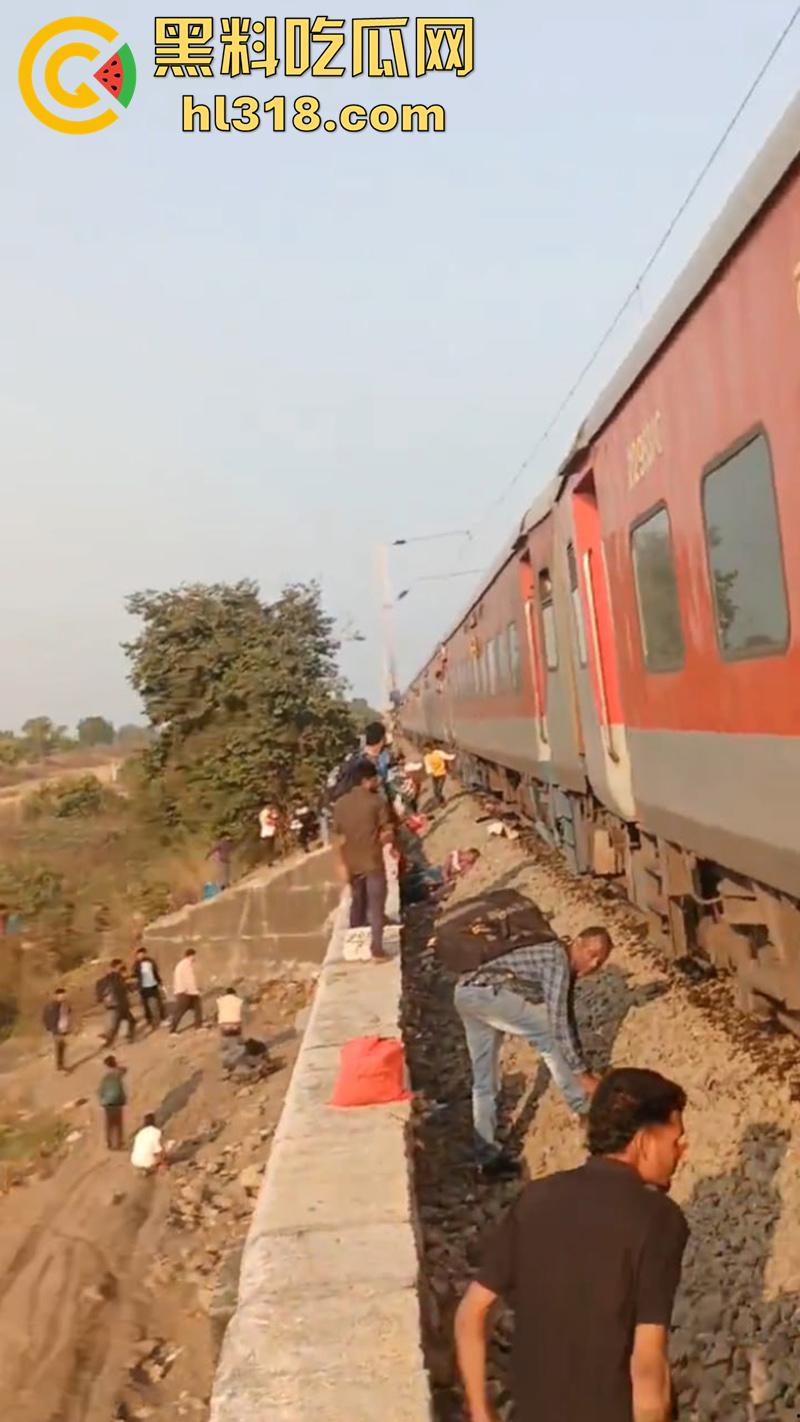 印度谣言造成大祸，大聪明编造车厢着火谣言，导致气氛混乱多人跳车逃生，被疾驰而来的火车撞死！  第6张