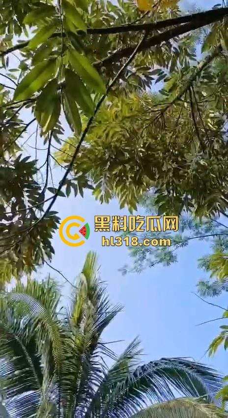 不是哥们毛毛虫也能吃的吗？这东西不是有毒！身体碰一下都全身红，你这舌头没事吧！  第1张