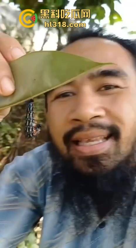不是哥们毛毛虫也能吃的吗？这东西不是有毒！身体碰一下都全身红，你这舌头没事吧！  第2张