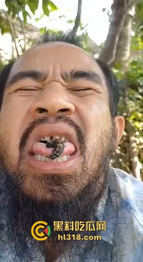 不是哥们毛毛虫也能吃的吗？这东西不是有毒！身体碰一下都全身红，你这舌头没事吧！  第4张