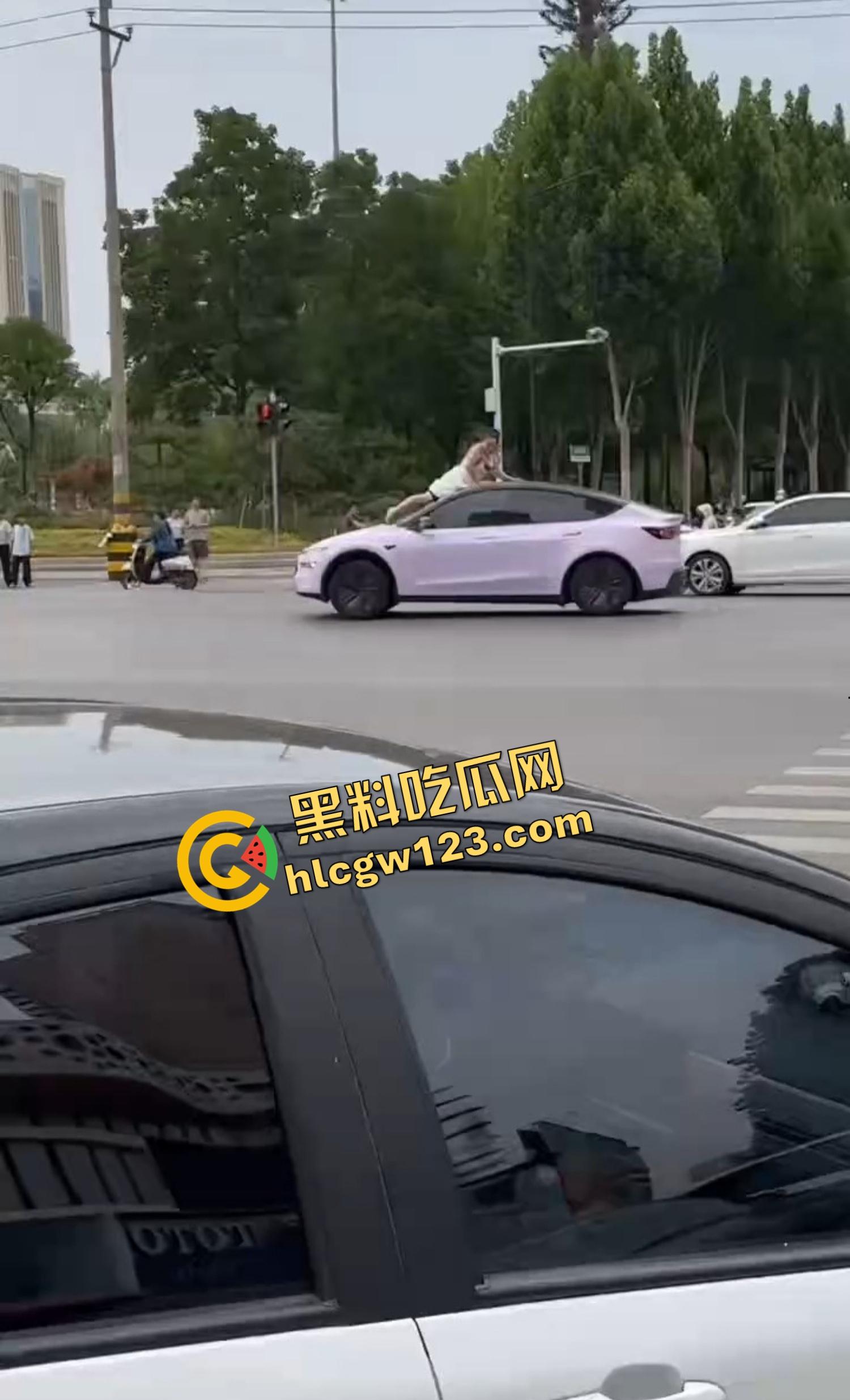 河南女版绿魔开挂上线，集美爬车无差别砸车，特斯拉一脚电门姐你是来耍杂技还是找死的？  第2张