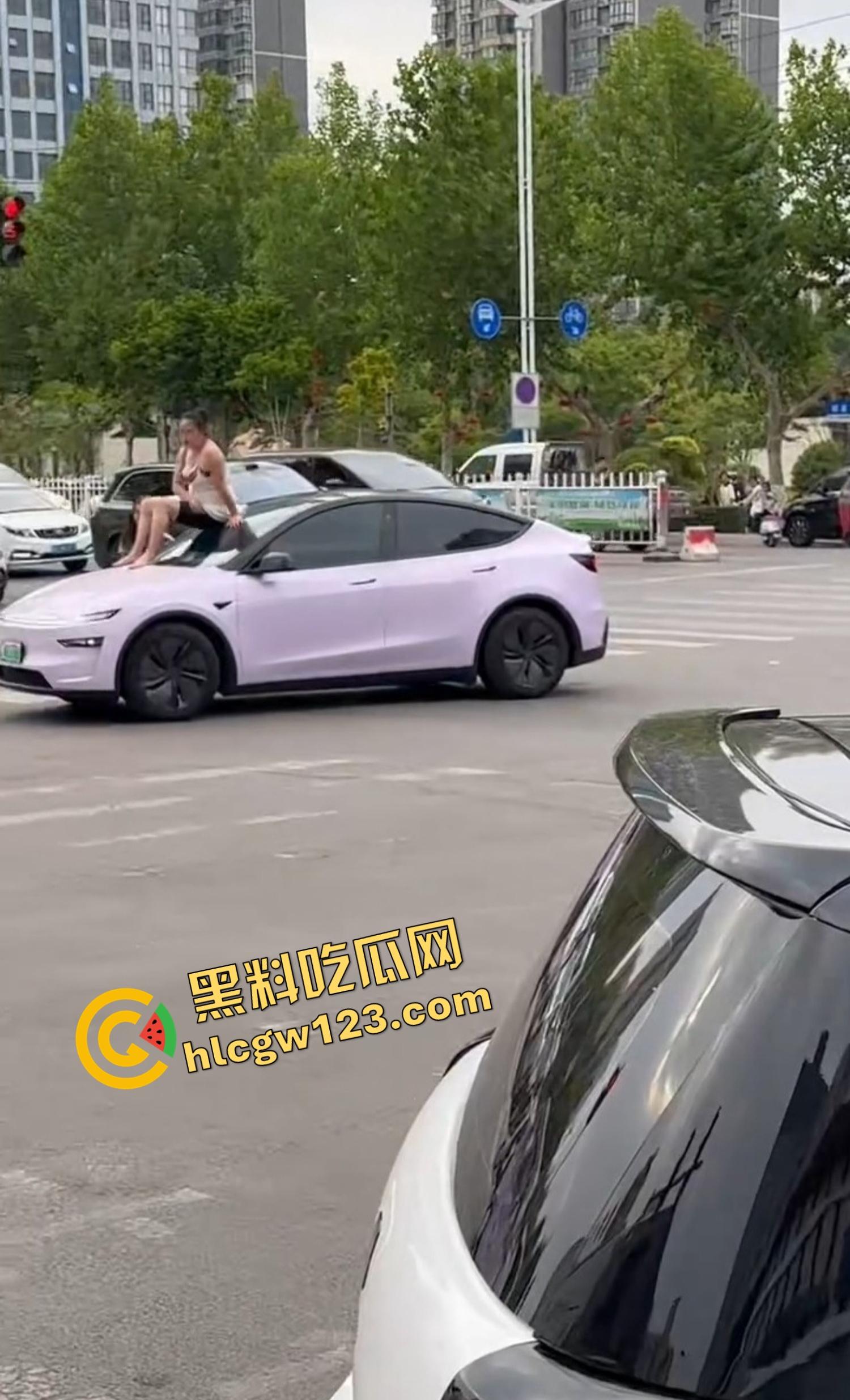 河南女版绿魔开挂上线，集美爬车无差别砸车，特斯拉一脚电门姐你是来耍杂技还是找死的？  第6张