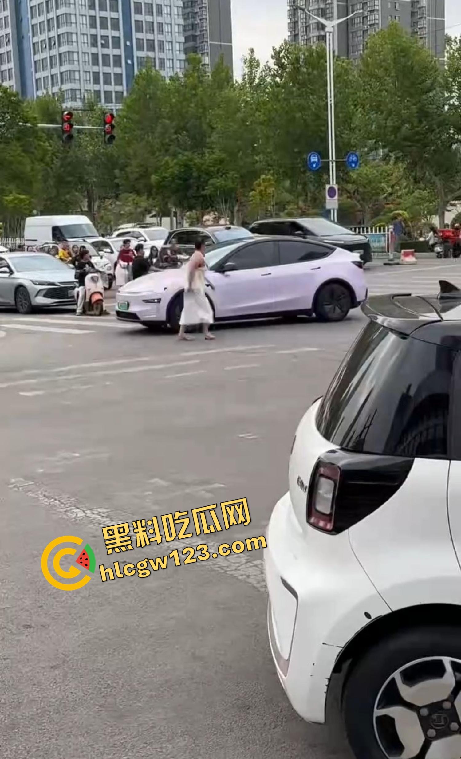 河南女版绿魔开挂上线，集美爬车无差别砸车，特斯拉一脚电门姐你是来耍杂技还是找死的？  第7张