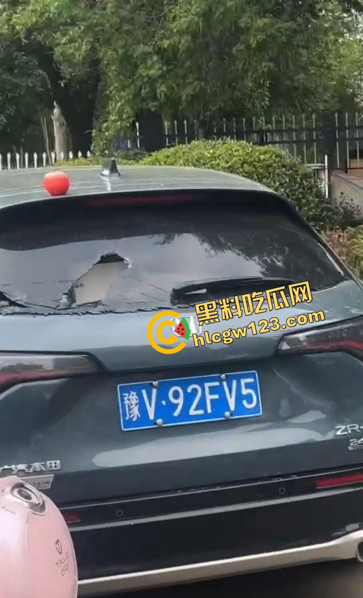 河南女版绿魔开挂上线，集美爬车无差别砸车，特斯拉一脚电门姐你是来耍杂技还是找死的？  第8张