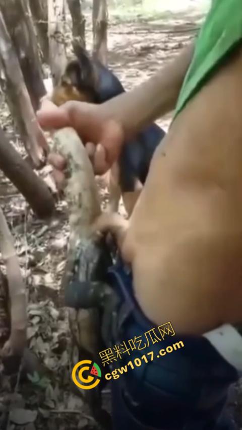 印度阿三享受变态玩乐：鸡巴爆操蜥蜴嫩穴，直到精液喷涌，炫耀异样快感，震撼画面引无数网民围观  第4张