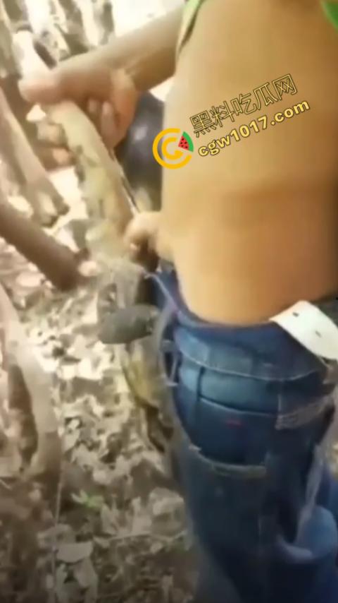 印度阿三享受变态玩乐：鸡巴爆操蜥蜴嫩穴，直到精液喷涌，炫耀异样快感，震撼画面引无数网民围观  第5张