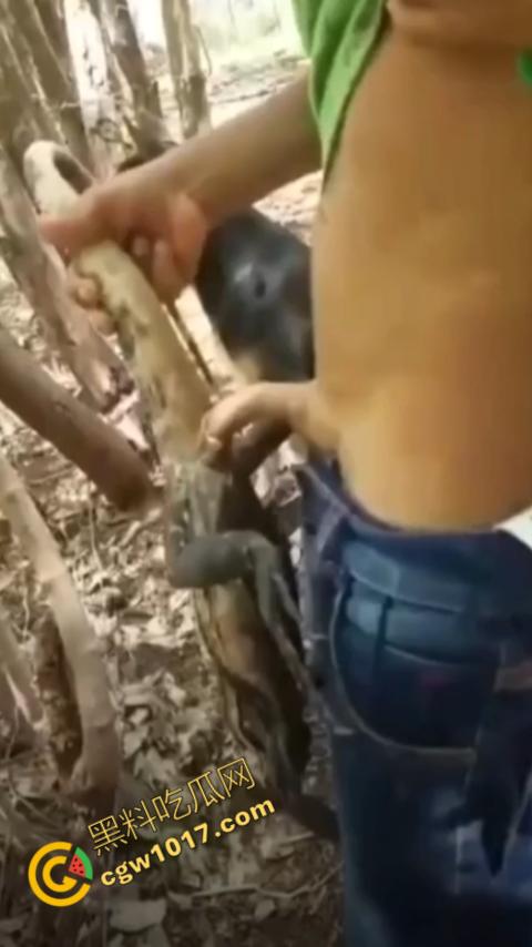 印度阿三享受变态玩乐：鸡巴爆操蜥蜴嫩穴，直到精液喷涌，炫耀异样快感，震撼画面引无数网民围观  第6张