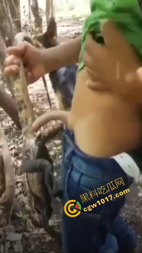 印度阿三享受变态玩乐：鸡巴爆操蜥蜴嫩穴，直到精液喷涌，炫耀异样快感，震撼画面引无数网民围观  第10张