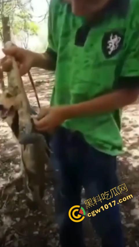 印度阿三享受变态玩乐：鸡巴爆操蜥蜴嫩穴，直到精液喷涌，炫耀异样快感，震撼画面引无数网民围观  第11张